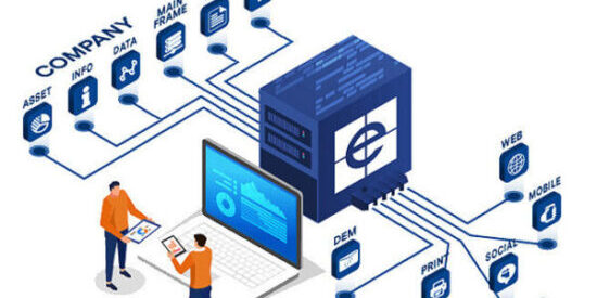 PIM-DAM-1-Patelli-Consulting